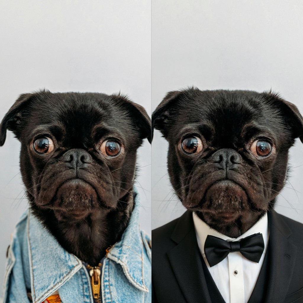 Chat To Edit - Free AI Photo Editing Tool