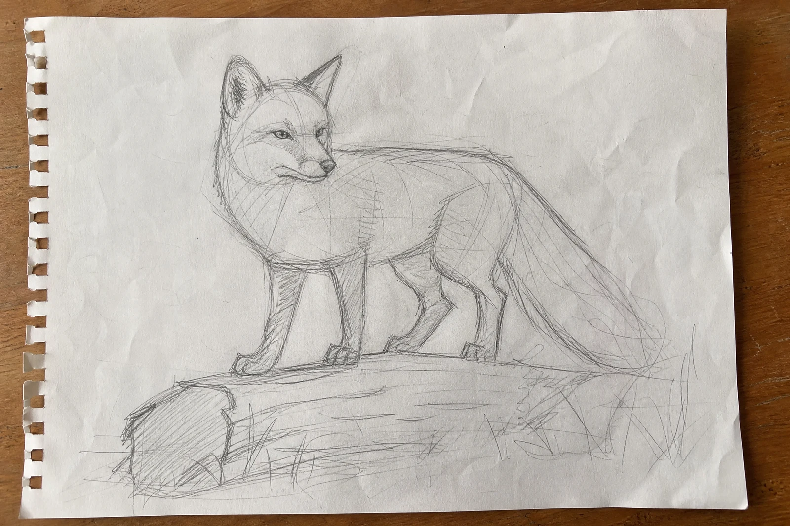 Sketch to Art — before editing
