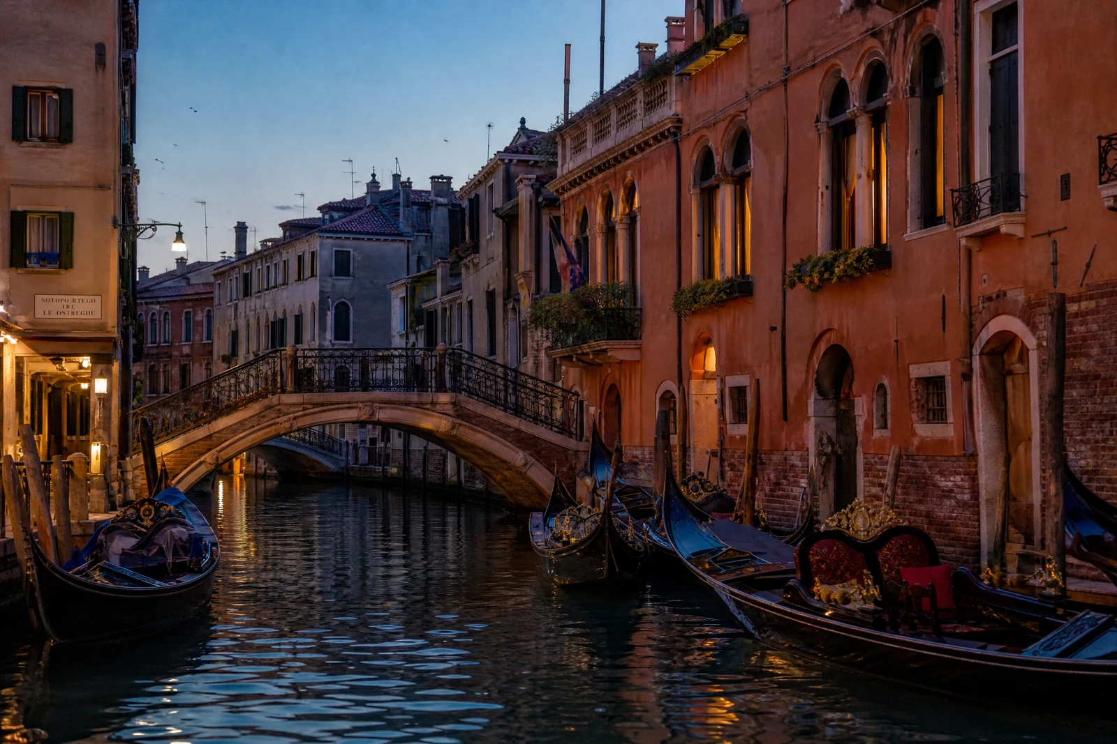 AI Style Transfer — before editing